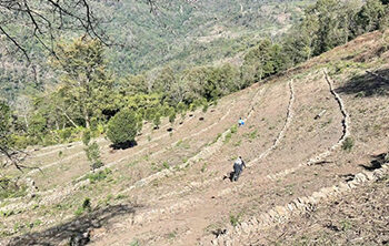 Stone bunds for resilient farming in Dagana