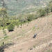 Stone bunds for resilient farming in Dagana