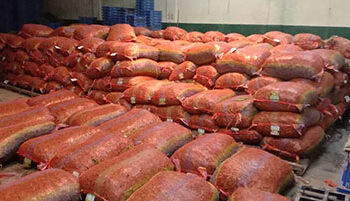 BAFRA rejects imported green chillies in Samdrup Jongkhar