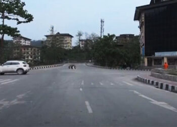 No quarantine for individuals recovered from COVID-19