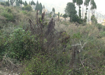 New fuel station to come up in Dagana