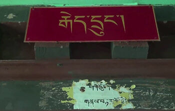 Gaydrungs worry as contract runs out