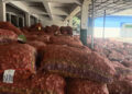 Low prices leave ginger growers unhappy