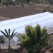 Mega greenhouse enables farmers to take up mass vegetable cultivation in Pema Gatshel