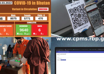 Pandemic helps the country develop robust data management system