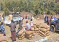 Livestock department supplies feed supplements to save vulnerable yak population