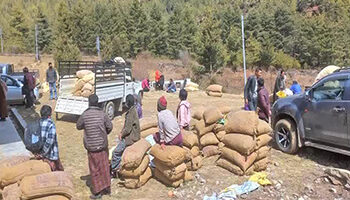 Livestock department supplies feed supplements to save vulnerable yak population