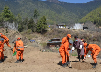 Million Fruit Trees Plantation Initiative launched