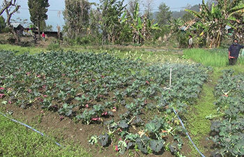 Integrated water supply scheme encourages more farmers to take up agriculture and livestock farming