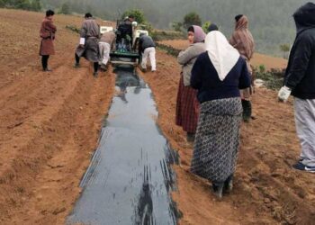 Farmers prefer lighter and cheaper farm machinery for farm mechanisation