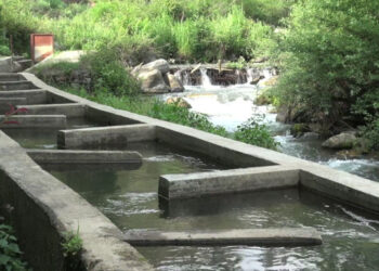 Bajo Throm residents struggle to access safe and clean drinking water