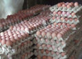 No import of Eggs says Livestock Department