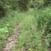 Farm road in need of maintenance, Dhakpai in Zhemgang