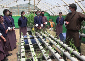 Hands-on hydroponic farming taught in Bajothang Higher Secondary School
