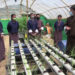 Hands-on hydroponic farming taught in Bajothang Higher Secondary School