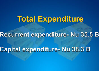 More than 50 % of capital budget remains underutilised