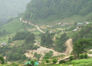 After more than 30 years, Nayakha and Gelingkha chiwogs in Chhukha come back to life