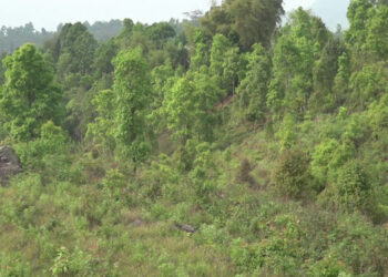 Taking care of fallow land to curb human-wildlife conflict- Tsirang