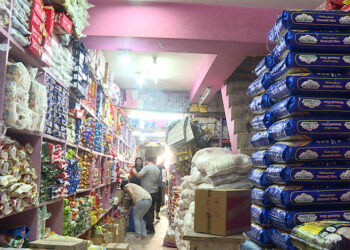 Checking expiry dates of products important