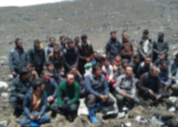 Illegal cordeyceps collecting leaves two poachers and a forester injured