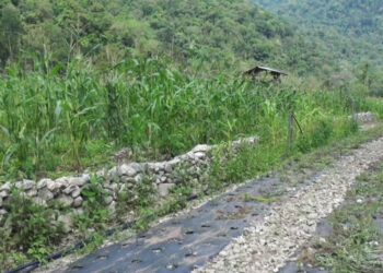 Land management in Chhoekhorling benefits farmer- Pema Gatshel