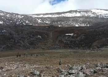 RBA personnel on patrol injured by cordyceps poachers, Lunana