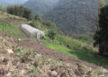 Wire mesh fencing to encourage reviving fallow land – Pema Gatshel