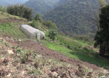 Wire mesh fencing to encourage reviving fallow land – Pema Gatshel