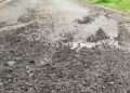 Blacktopped road starts disintegrating after two weeks- Zhemgang