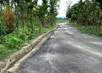 People of Shompangkha Gewog delighted to get paved road