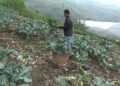 A farmer in Bartsham Gewog scripts a success story, sets example