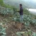 A farmer in Bartsham Gewog scripts a success story, sets example