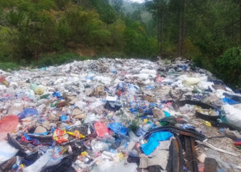 Poor waste management in Gyalpoizhing and Lingmithang