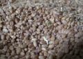 India bans wheat export- not a concern for now