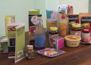 CNR students develop new food products as part of their academic research