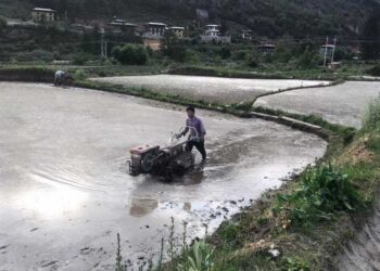 FMCL’s new service centre benefiting farmers in Paro