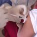 Booster shot for children aged five to 11 years expected to begin in August