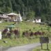 Upgrading Dzongsar Primary School will solve hostel congestion in Tendruk Central School