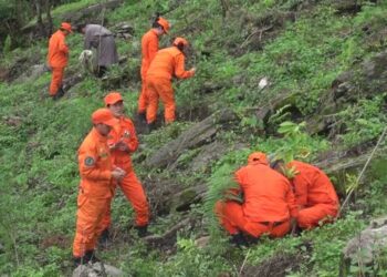 Over a million fruit trees planted across the country