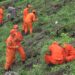 Over a million fruit trees planted across the country