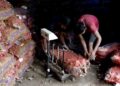 Poor quality affecting ginger export- Gelephu
