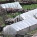 Merak self-sufficient in vegetables through greenhouse farming