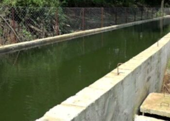 Farmers start reviving fallow land after getting reliable irrigation water- Sarpang