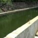 Farmers start reviving fallow land after getting reliable irrigation water- Sarpang