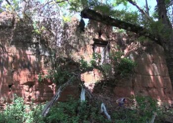 Peltari chiwog in Punakha in need of community Lhakhang