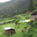 Lull- Model Organic Village prospering
