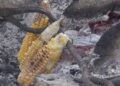 Roadside vendors’ economic gains from roasted maize- Monggar