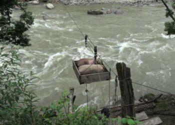 Ropeway, a lifeline for Bali residents in Punakha