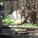 Lack of maintenance and increasing population push Peltari chiwog into water scarcity