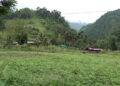 Issuance of new Lag Thrams brings hope to residents of Sangsiri- Zhemgang